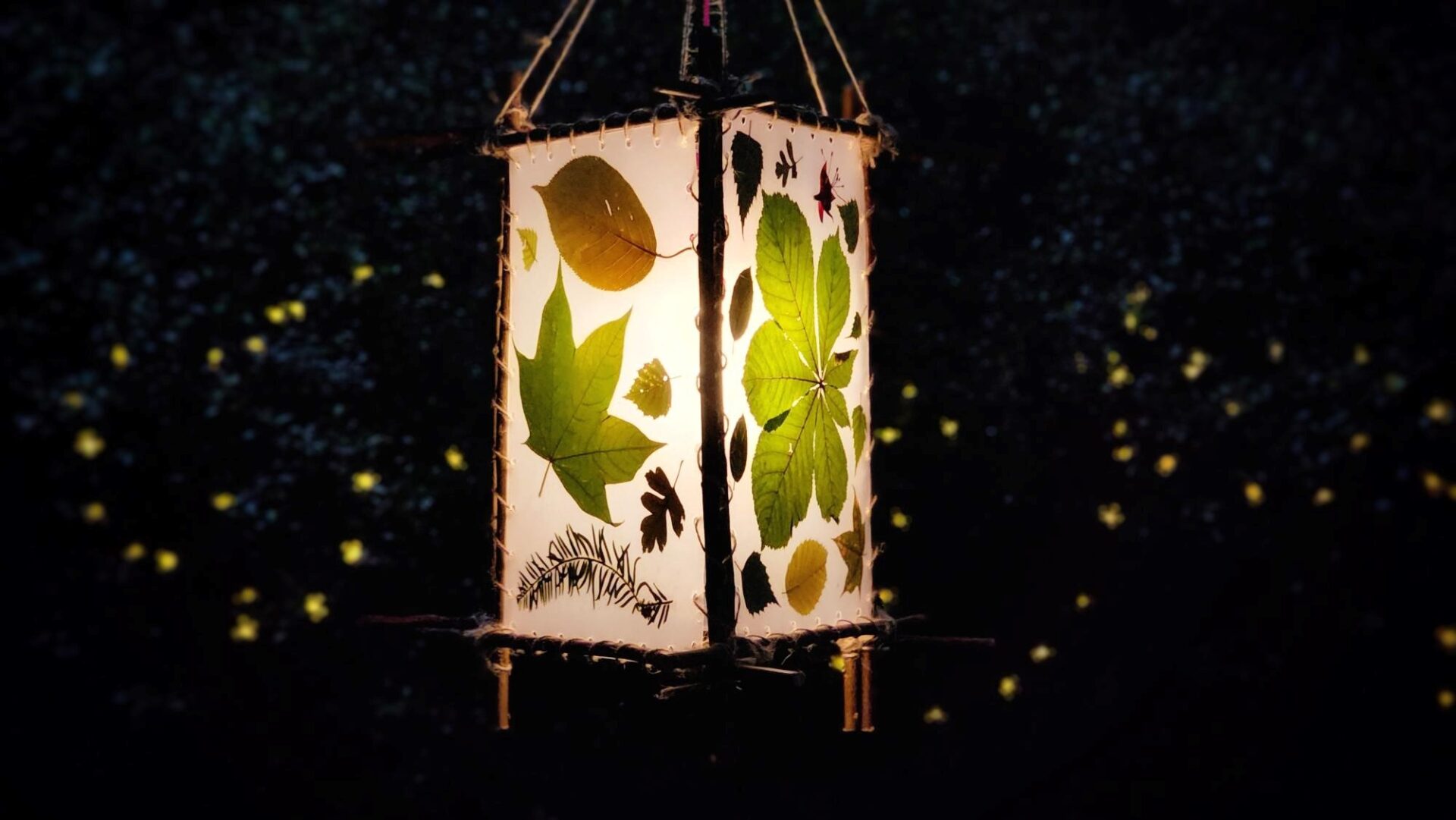 Photograph of a leaf lantern